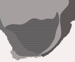 Image result for Xylia torreana