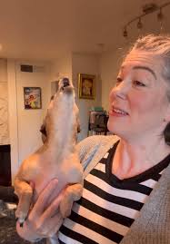 We did it! Its here! Link in bio ❄️🐾❄️🐾 #newalbum #merrychristmas #dogs