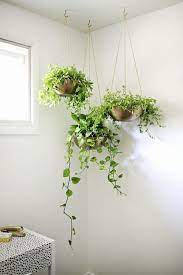 12 Ways To Step Up Your Living Room Decor Diy Hanging Planter Diy Planters Plants