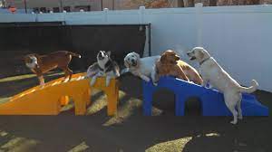 Pet food pantries and food banks provide pet food for pet owners who cannot afford it on their own. All American Pet Resorts Of North Brunswick 330 Thalia St North Brunswick Nj 08902 Yp Com