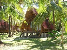 Easy to search resort directory featuring 35 ontario pet friendly resorts. Pet Friendly Hotels In Malaysia