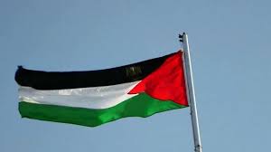 Baju koko palestina black palestine shopee indonesia via shopee.co.id. Bendera Palestina Akan Berkibar Di Pbb Bbc News Indonesia