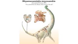 Titanosaurs were a diverse group of sauropod dinosaurs, including genera from africa, asia, south america, north america, europe, australia and antarctica. Newly Discovered Titanosaur Fossil Had A Heart Shaped Tail
