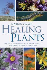 We did not find results for: Healing Plants Herbal Remedies From Traditional To Anthroposophical Medicine Sommer Dr Markus Hepburn Lynda 9781782500575 Amazon Com Books