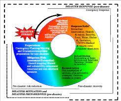 1 priority for action 1: Disaster Management Cycle A Theoretical Approach Semantic Scholar