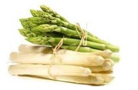 Check spelling or type a new query. Asparagus Plants
