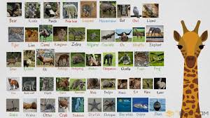 Wild Animals List Of Wild Animal Names With Images 7 E S L