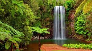 Bosnie herzegovine cascades arbres fonds d ecran 1920×1200 fond d ecran cascade fond ecran paysage. Fond D Ecran Cascade Telecharger Cascade Paysage Naturel Plan D Eau La Nature Ressources En Eau 551663 Wallpaperuse