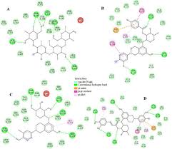 Image result for Viscum combreticola