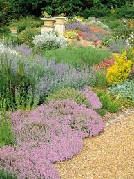 Great Groundcovers Ground Cover Plants Plants Garden Design