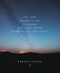 Poems Instapoems Instapoetry Sabina Laura Moon Poems Poems Sabina
