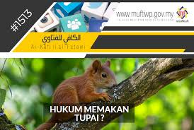 Jenis tupai ekor kecil ini dikenal juga dengan nama ekor halus, merupakan spesies tupai yang endemik hidup di serawak utara, malaysia. Pejabat Mufti Wilayah Persekutuan Al Kafi 1513 Hukum Memakan Tupai
