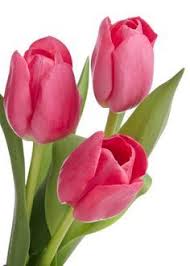 Pin On Flower Painting