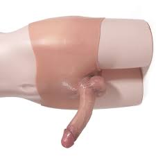 Amazon.com: Silicone Dildo Panties 6-7 inch Realistic Penis Sex Toys for  Gay Lesbian Men Women Masturbation : Health & Household