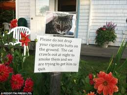 Most stuffs that people throw in their yard for sale are useless things like old bathtubs. Funny Passive Aggressive Notes By Neighbours On Reddit Daily Mail Online