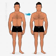 The Best Chest Exercises For Building Muscle Bony To Beastly Chest press exercises and pec fly exercises are the most effective methods for building chest muscle.
