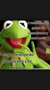 Lol Jajaja Memes De La Rana Rene Funny Facts Funny Quotes Funny Memes