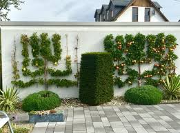 Spalierobst An Garagenwand In 2020 Gartengestaltung Garten Spalier