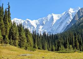 Разнообразна и богата природа киргизии. Kartinki Kyrgyzstan 45 Foto