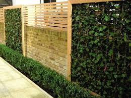 Image Result For Cercas Economicas Para Jardin Fachadasdecasasrusticas Muros Verdes Jardines Verticales Fachada Verde