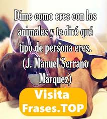 Check spelling or type a new query. Frases De Mascotas Y Animales Para Reflexionar Contra El Maltrato