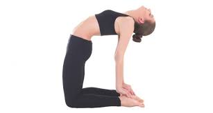 Top 7 Asanas Of Yoga For Kidney Health Renal Problems Diseases In 2020 Kidney Health Poses Disease