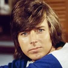 Who watched Here Comes the Brides and had a crush?