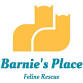 Barnie's Place 5K Race: Go the Extra Mile
