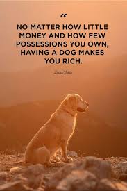 Dog and cat friendship quotes. 40 Best Dog Quotes Cute Sweet Quotes About Dogs