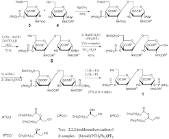 Check spelling or type a new query. Chemical Synthesis Of Bacterial Lipid A Sciencedirect