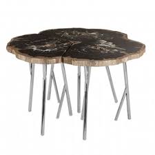 Large arizona petrified wood table with blue & brown tones 24,000.00. Relic Light Petrified Wood Coffee Table Modern Coffee Tables