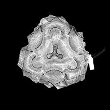 MORPHOLOGY STUDIOS 2016-17