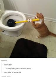 So we have found the funniest cat memes on the internet, for your personal enjoyment. 61 Funny Clean Memes That You Re Going To Love Rated E For Everyone