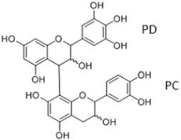 Image result for Eriocoelum microspermum