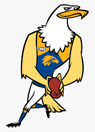 The logo design that the club. Eagle Football Clipart West Coast Eagles Mascot Cartoon Free Transparent Clipart Clipartkey