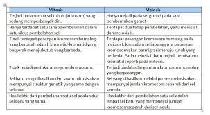 Tugas biologi ( perbedaan mitosis dan meiosis) nama kelompok: Perbedaan Mitosis Dan Meiosis Brainly Co Id