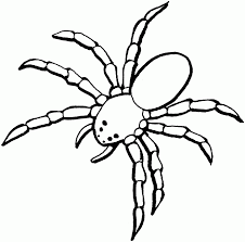 Free Printable Spider Coloring Pages For Kids Spider Coloring Page Animal Coloring Pages Halloween Coloring Pages