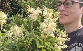 Wild Things Archives