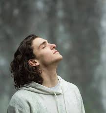 Irene mendez cruz, 28, captured the moment a seagull swallowed a rabbit. How To Stop Shaking When You Feel Nervous Betterhelp