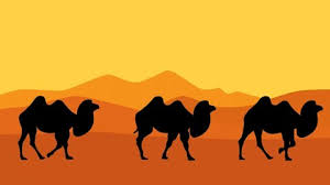 Last year we engaged with thousands of kids and parents at twenty events. Camel Cartoon Stock Video Footage 4k And Hd Video Clips Shutterstock