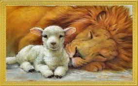Proworld is your #1 source for jesus heat transfers and iron ons. Lion And Lamb Wallpaper Leon Y Cordero Arte Profetico Dibujos