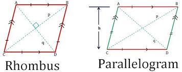 Difference Between Rhombus And Parallelogram With