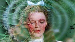 ART — beau dickson