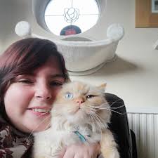 LIAR (Madison Kate Book 2) eBook : James, Tate, Aguiar, Wander:  Amazon.co.uk: Kindle Store