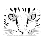 This tutorial includes tips and techniques for making you. Cats Drawing Tutorials Step By Step Drawingtutorials101 Com