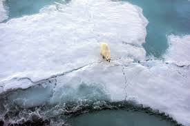 Glaciers, Ice Sheets Most At Risk Of Melting In Climate Disaster, Mapped