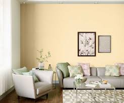 Color schemes, paints, palettes, combinations, gradients and color space conversions for the #dd8983 hex color code. Try Sunny Side Up House Paint Colour Shades For Walls Asian Paints