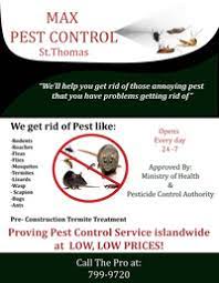 When it comes to pest control, who is financially responsible? Max Pest Control In Morant Bay St Thomas Parish Jamaica Business Ja