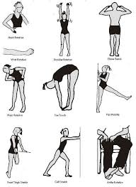 The Most Popular Diets Today Mobility Exercises Brain Gym Exercises Exercise