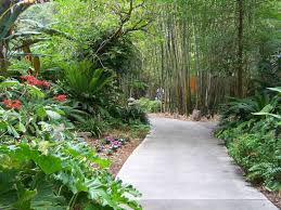 Through The Garden Gates At Marie Selby Botanical Gardens Sarasota Florida Cheap Things To Do Sarasota Beautiful Places To Visit